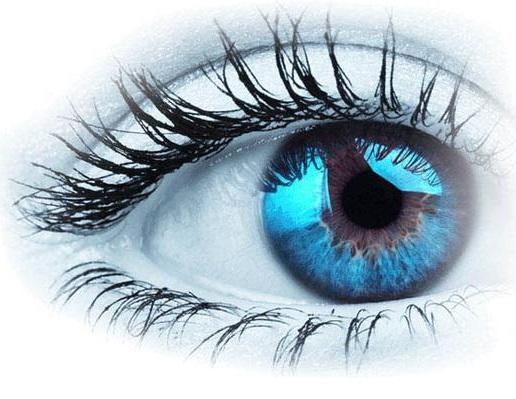 ethoseyes and ethosheaven