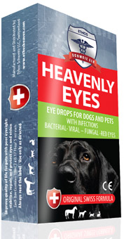 Eye Drops to Treat Infections for Dogs and Other Pets